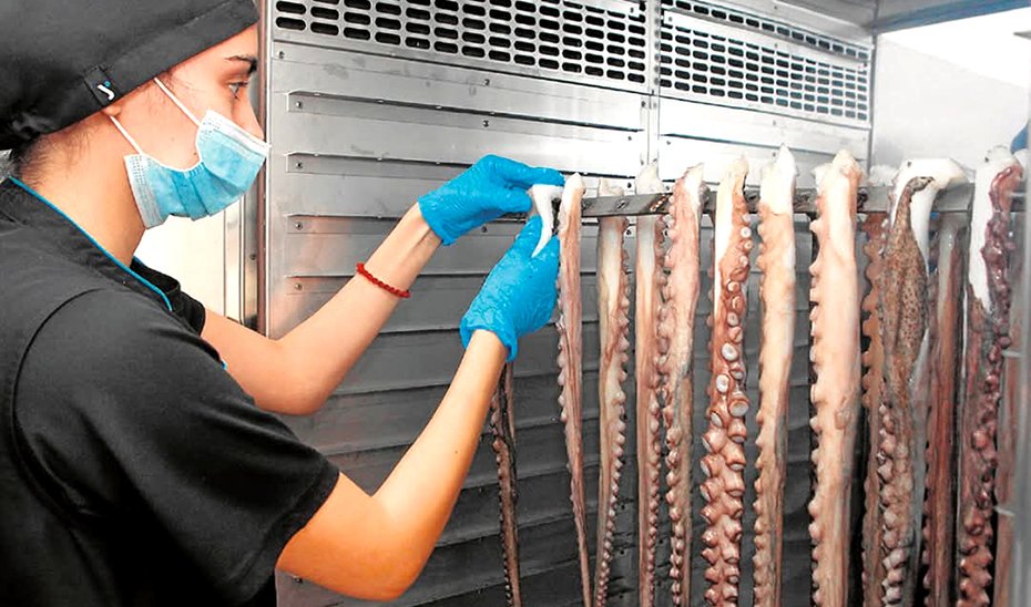 Proceso de eleboración del producto.