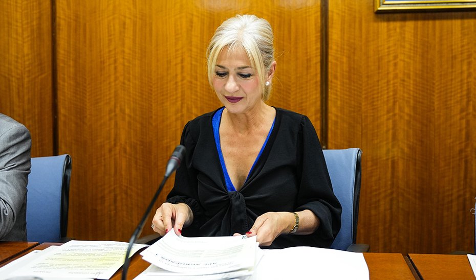 La consejera de Cultura, Patricia del Pozo, durante su comparecencia en la comisión parlamentaria.