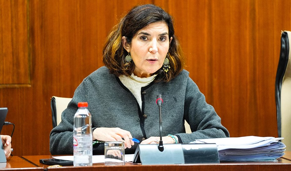 La consejera Rocío Blanco, durante su intervención ante la comisión parlamentaia de Emplo, Empresa y Trabajo Autónomo.