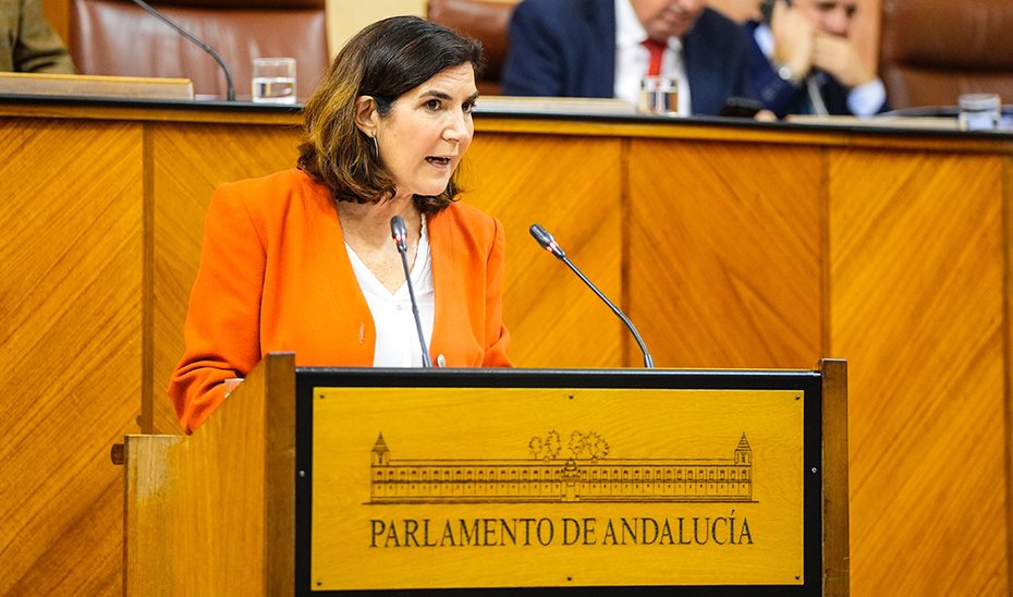 Rocío Blanco interviene en el pleno del Parlamento andaluz.
