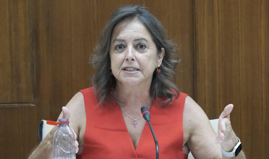 La consejera de Sostenibilidad y Medio Ambiente, Catalina García, durante la comisión parlamentaria.