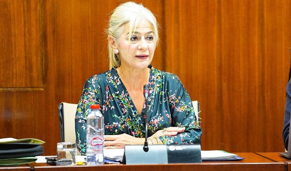 La consejera Patricia del Pozo interviene ante la comisión parlamentaria de Cultura y Deporte.