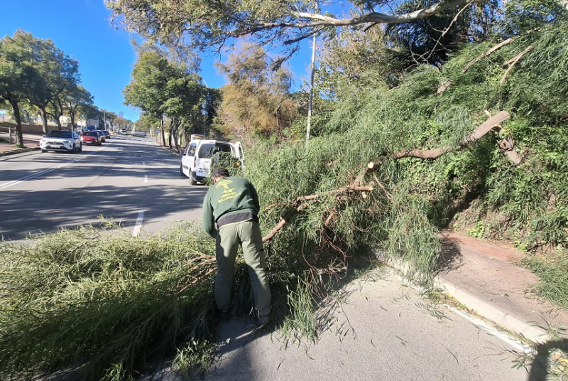 Registradas más de una veintena de intervenciones en el Día de Reyes por las fuertes rachas de viento, sin tener que lamentar daños personales