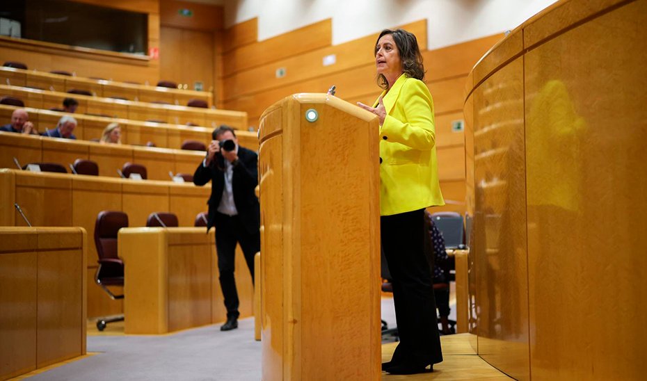 La consejera de Sostenibilidad, Catalina García, durante su intervención en la Comisión General de las Comunidades Autónomas del Senado.